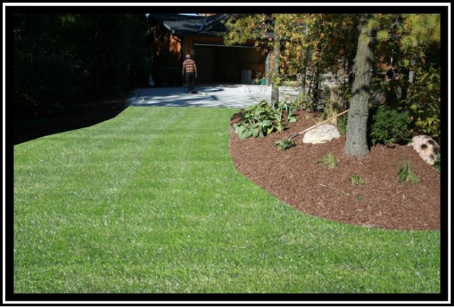 Your lawn is now used for overflow parking or a second entrance.